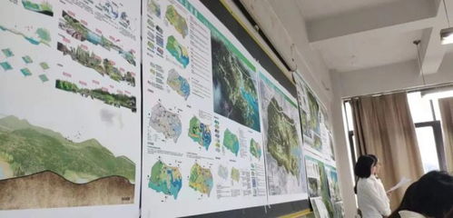 从景观到服务设计 跨专业保研中的文艺创作与产品合理性构建